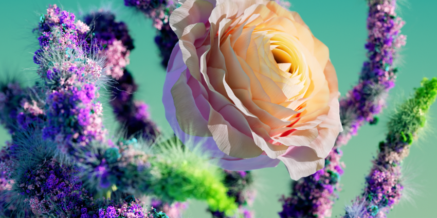 flora 2