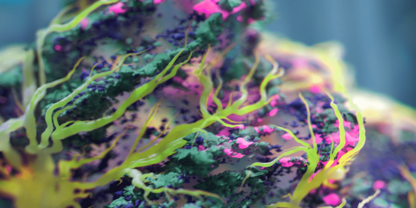 textures and rendering