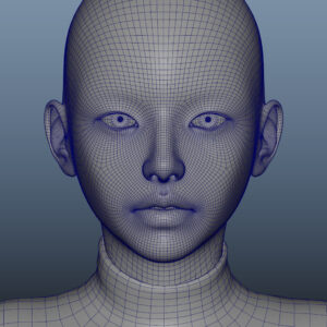 Wireframe