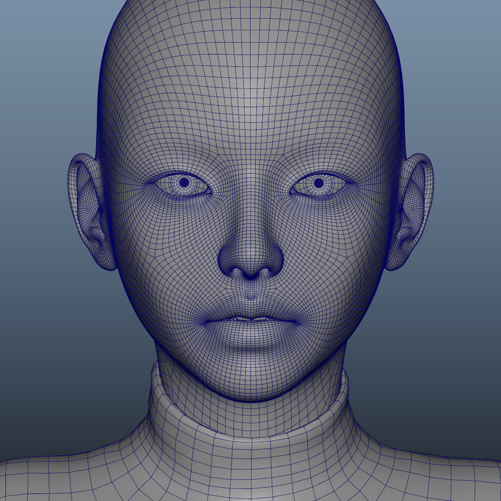 Wireframe