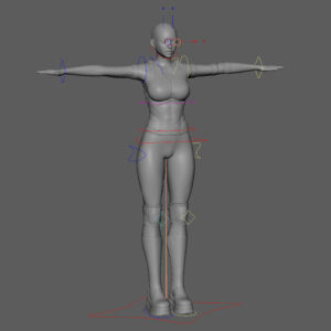 HANA Rig