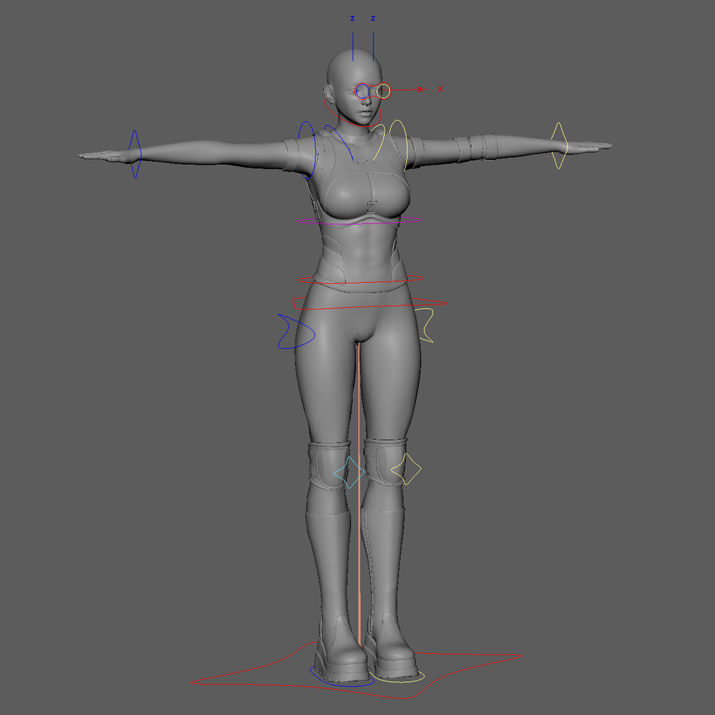 HANA Rig
